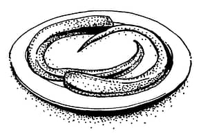 eel on a plate